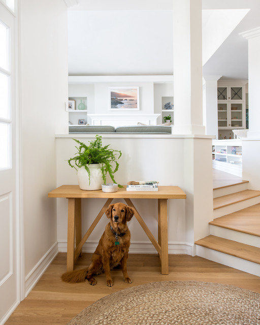 Consider These 10 PetSafe Houseplants