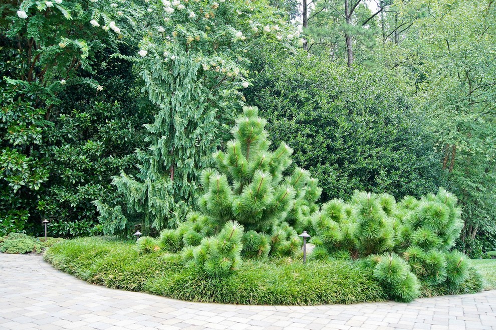This is an example of a traditional garden in Atlanta.