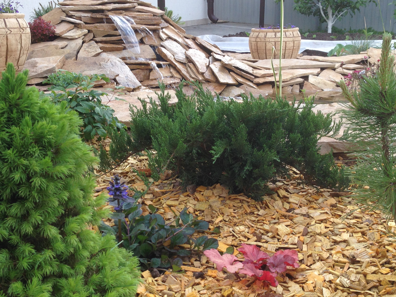 Садовый пруд в африканском стиле