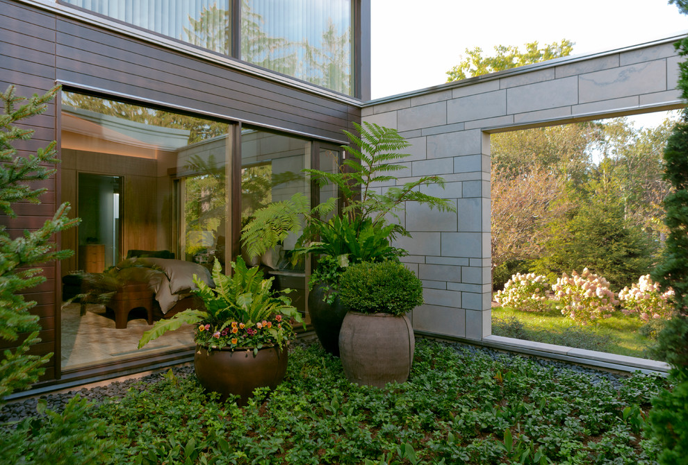 Design ideas for a contemporary backyard shaded garden in Chicago.