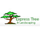 Express Tree & Landscaping