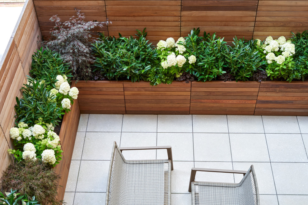 На фото: летний участок и сад среднего размера на заднем дворе в современном стиле с растениями в контейнерах, полуденной тенью, мощением тротуарной плиткой и с деревянным забором