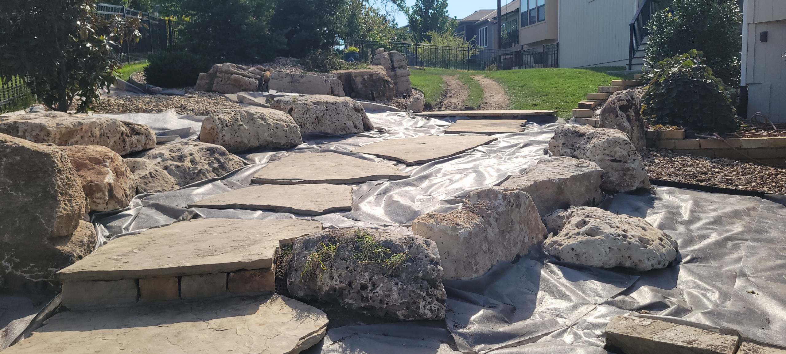 2025 Garden Highlights