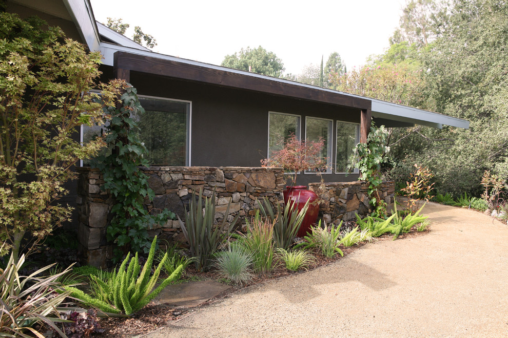 Photo of a large midcentury garden in Los Angeles.