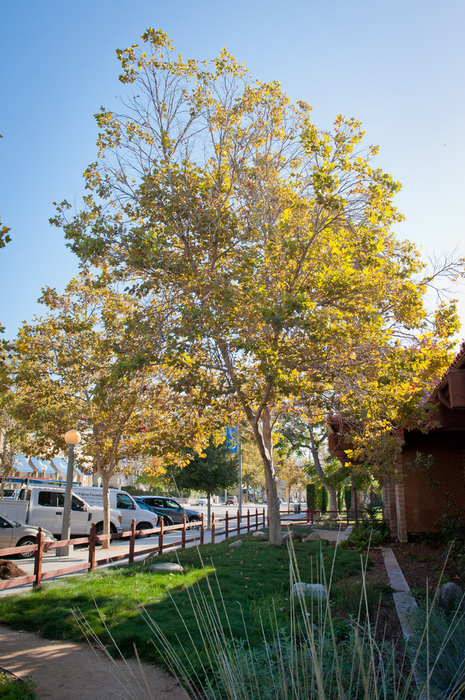 This is an example of a large rustic drought-tolerant and partial sun side yard stone garden path in Los Angeles for fall.