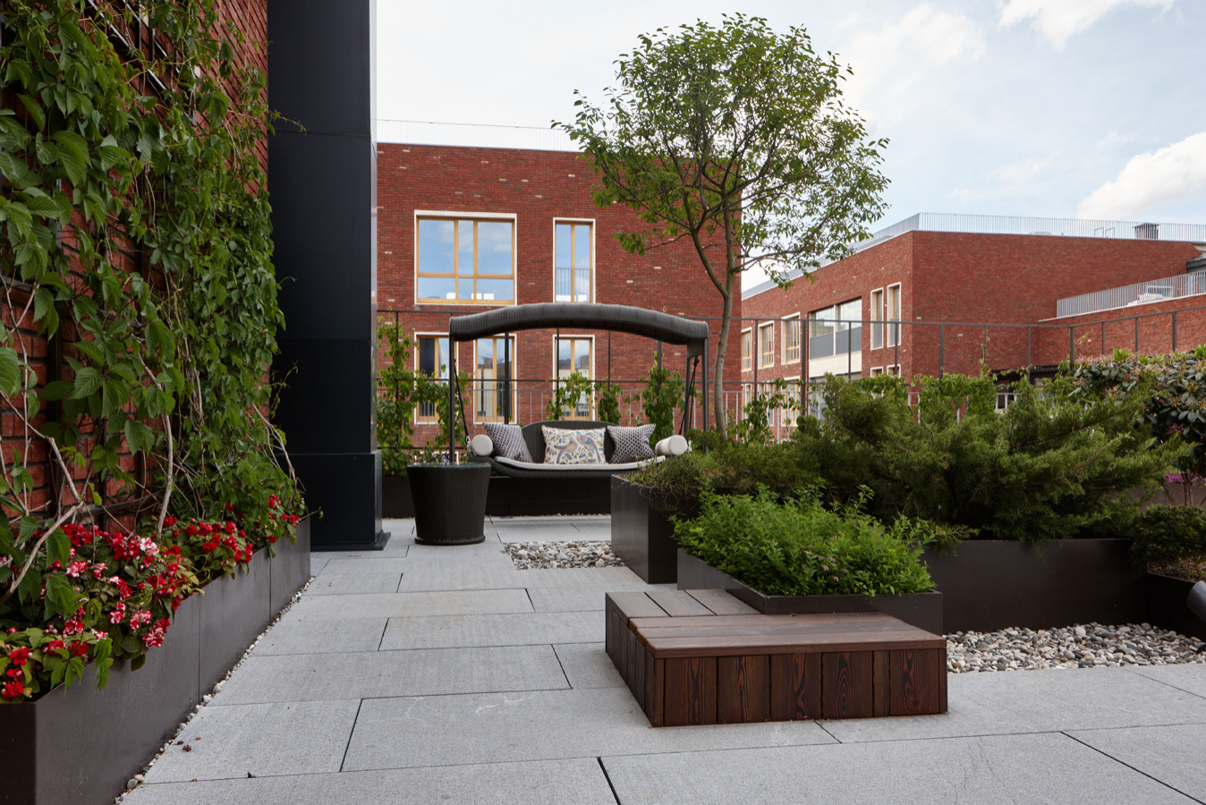 Зеленые кровли. Green roof