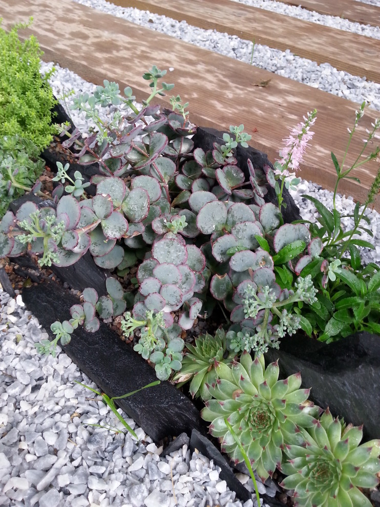 Альпинарии