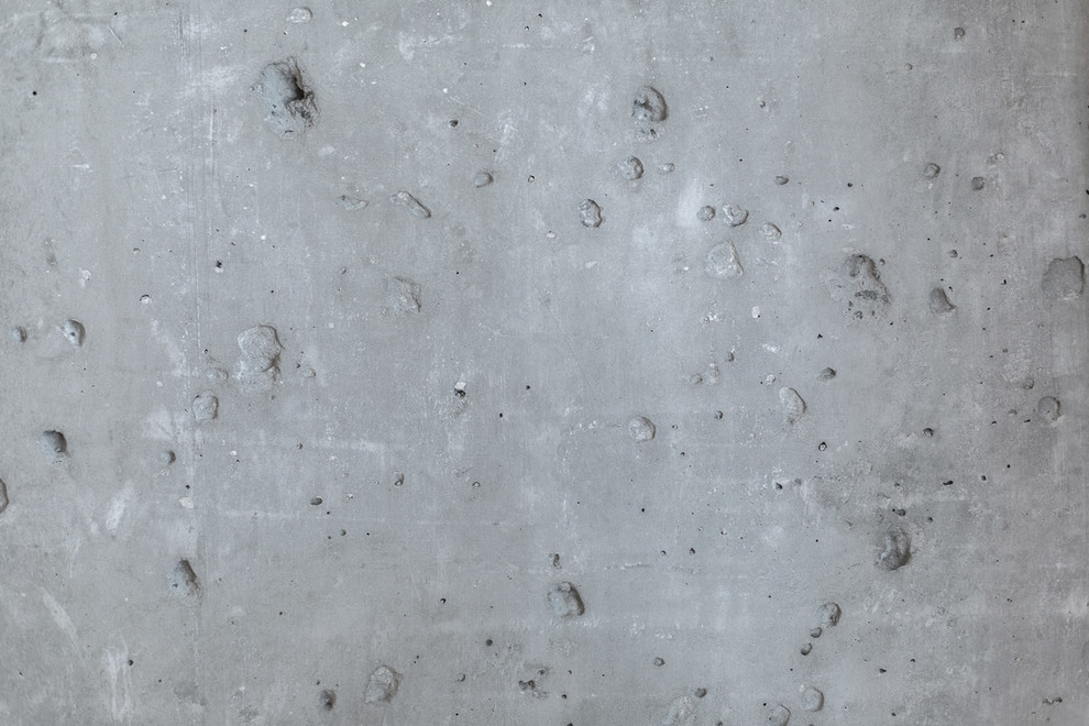 Peonies. Felt. Сoncrete.