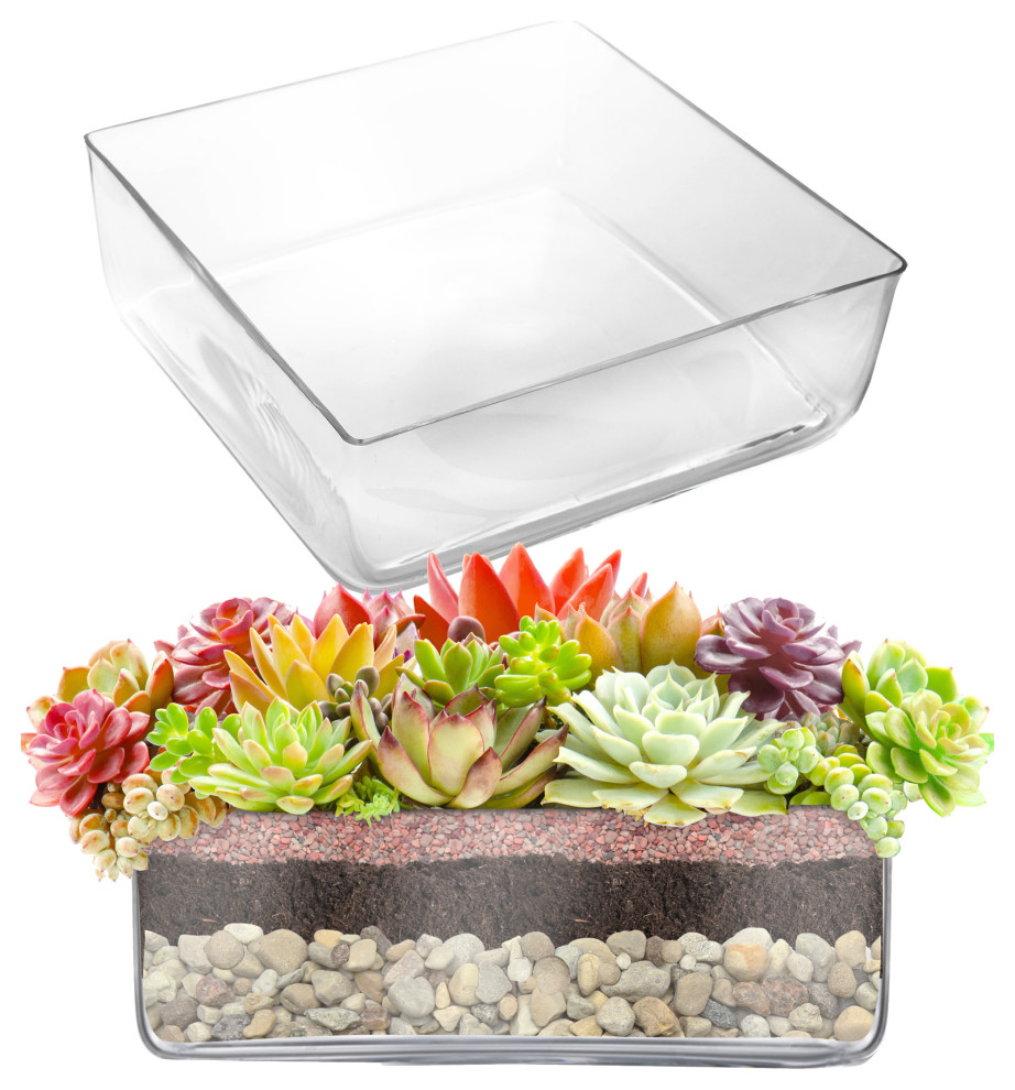Large Glass Square Vase (H:4" Open:12"x12") Square Flower Vase Centerpieces, Pack of 4