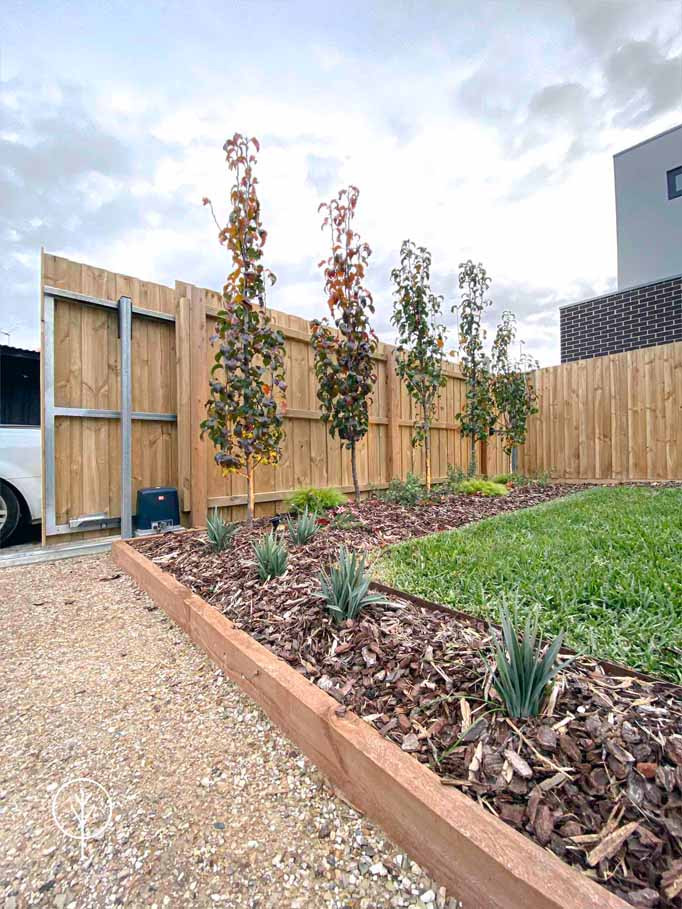 Mittelgroßer Moderner Garten im Frühling, hinter dem Haus mit Wüstengarten, direkter Sonneneinstrahlung, Granitsplitt und Holzzaun in Melbourne