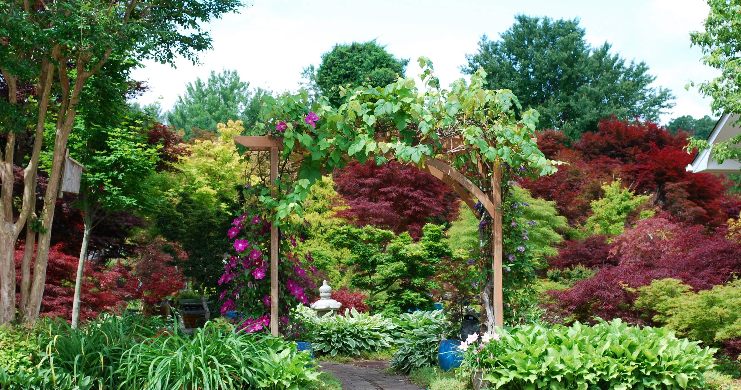 Mr. Maple display garden