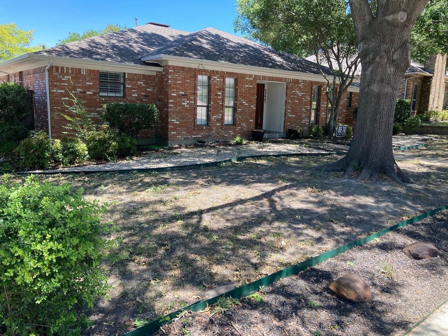 Front Lawn Sod