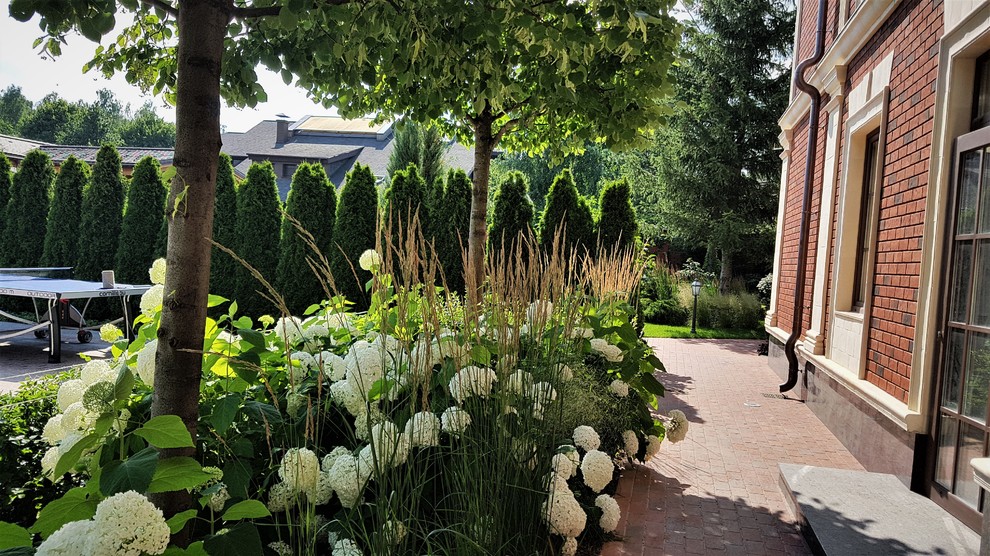 Сад с аурой