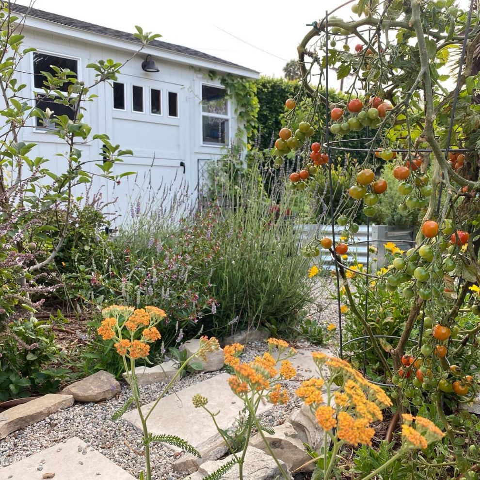 San Pedro, CA - Rustic Kitchen Garden