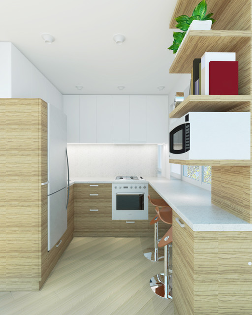 Tiny Kitchen Render modern