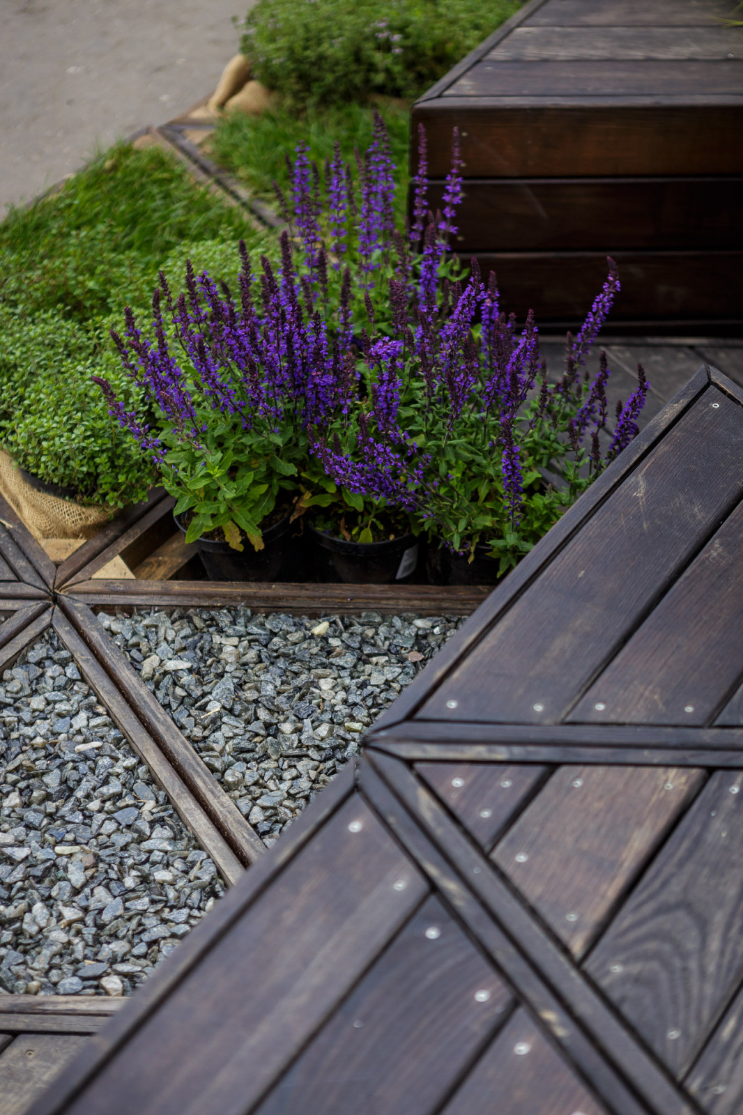 Патио-Триангулатио