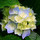 webuser_9779000