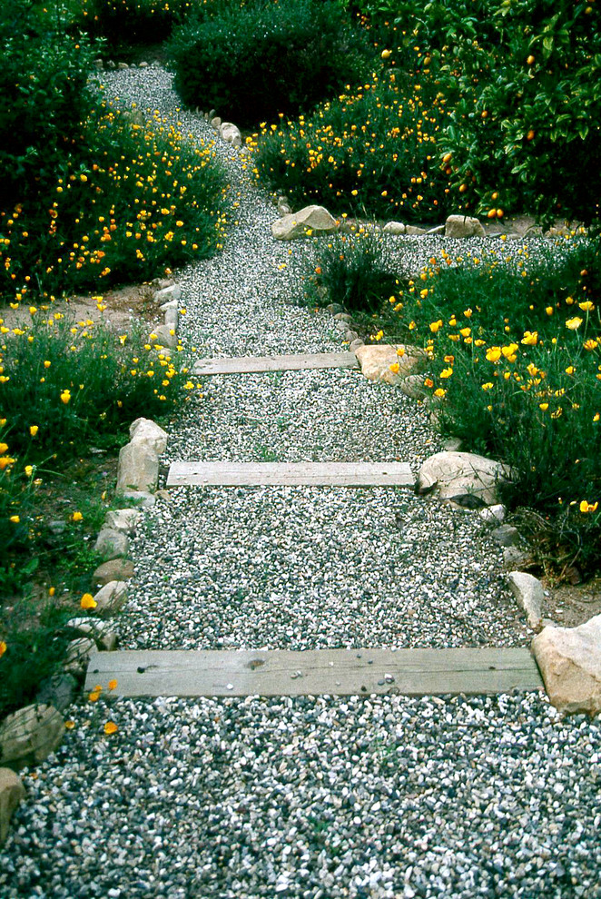 Design ideas for a mid-sized rustic drought-tolerant and full sun backyard gravel garden path in Santa Barbara for winter.