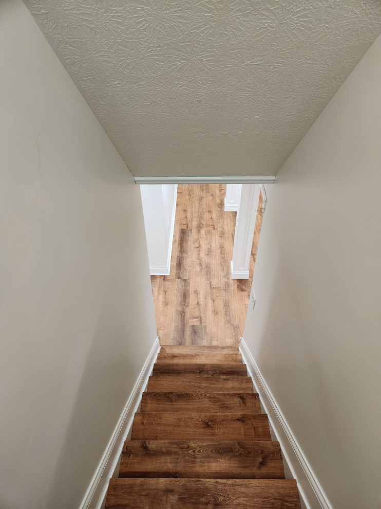 Basement Remodel