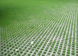 СОВРЕМЕННЫЕ АВТОСТОЯНКИ  из ГАЗОНОВ КАНАДА ГРИН!