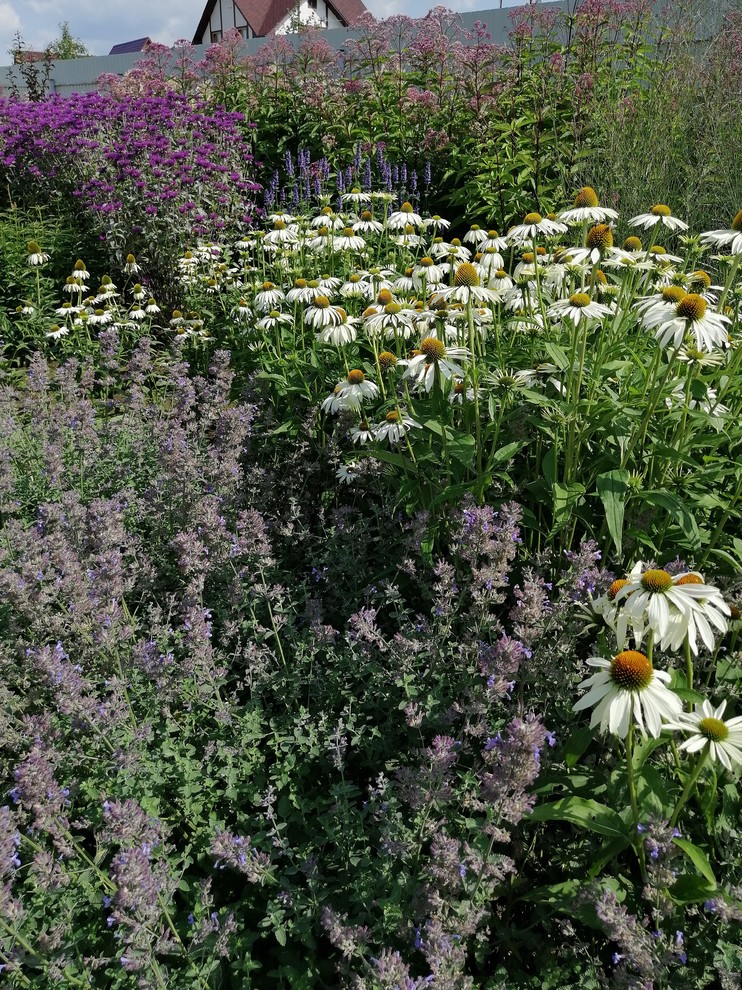 Подмосковный Прованс