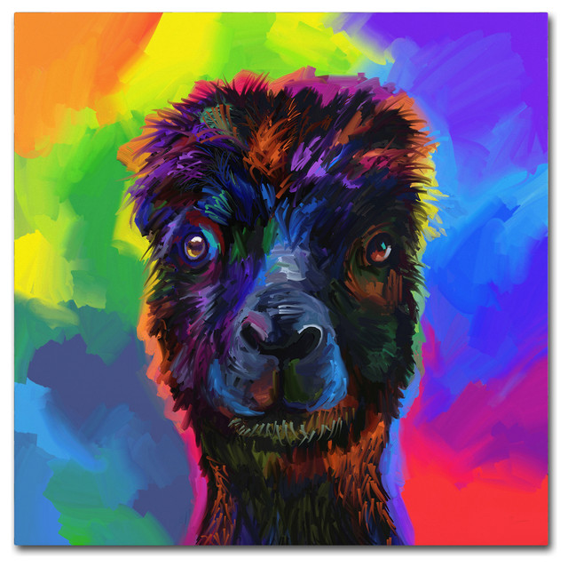 pop it alpaca