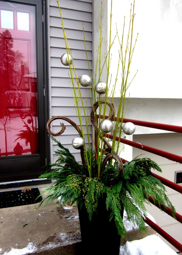 Inspiration for a modern front yard garden for winter in Minneapolis with a container garden.