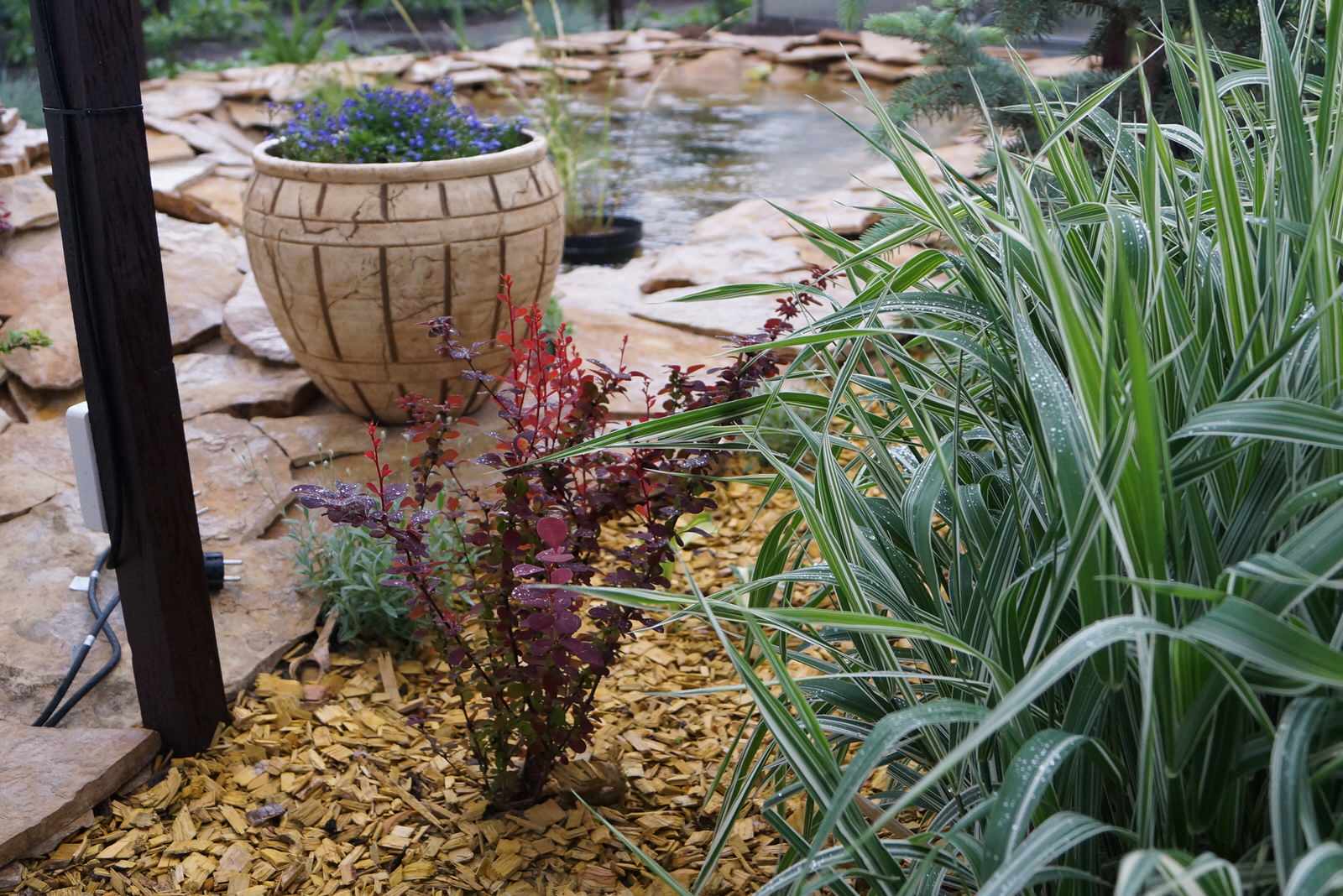 Садовый пруд в африканском стиле