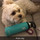sophie_klement