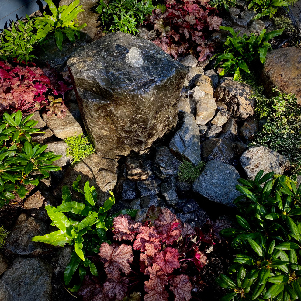 Cette photo montre un jardin arrière montagne avec une cascade, des galets de rivière et une exposition partiellement ombragée.