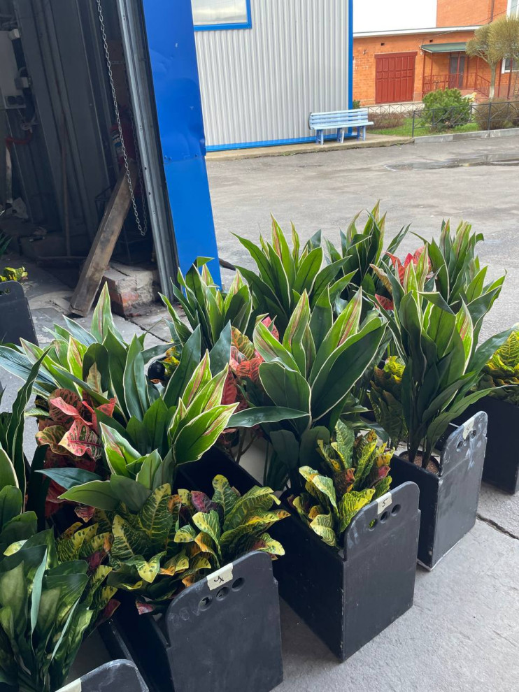 Ресторан FRANK на Рубинштейна г. Санкт-Петербург