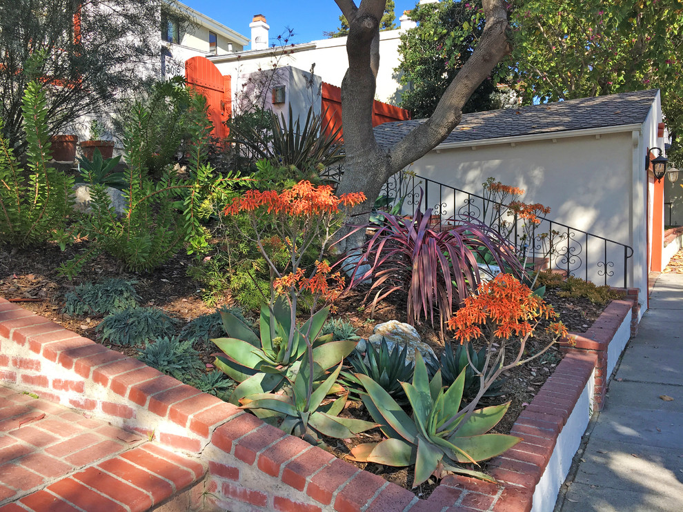 This is an example of a small mediterranean front yard shaded xeriscape for winter with mulch.
