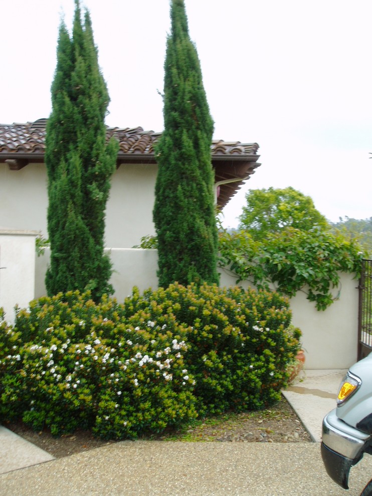 This is an example of a mediterranean front yard full sun driveway in San Diego with concrete pavers.