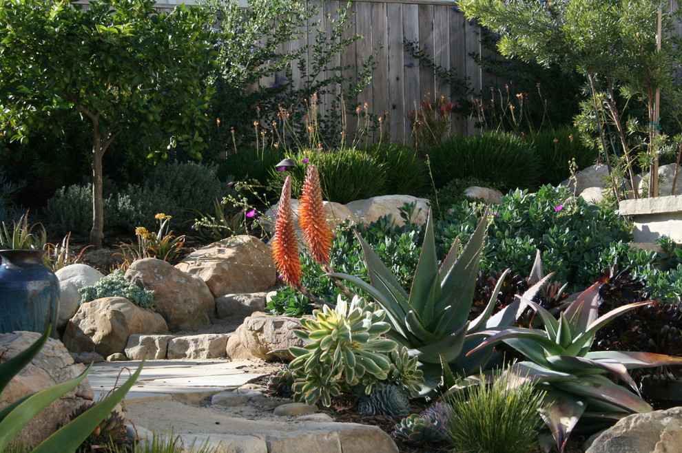 Mediterranean garden in Santa Barbara.