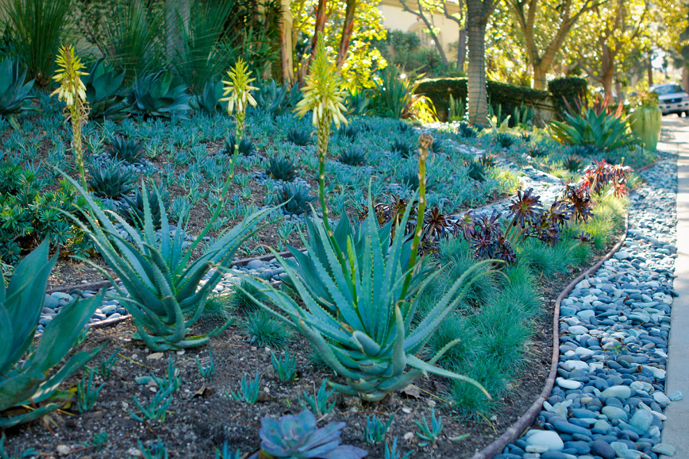 На фото: засухоустойчивый сад среднего размера на переднем дворе в современном стиле с камнем в ландшафтном дизайне и покрытием из гальки с