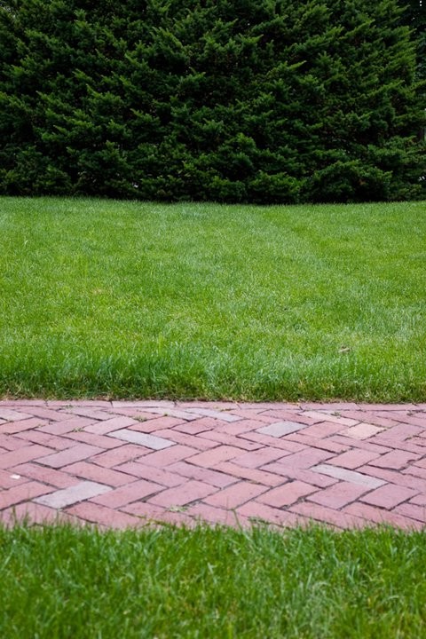 Photo of a landscaping in Boston.