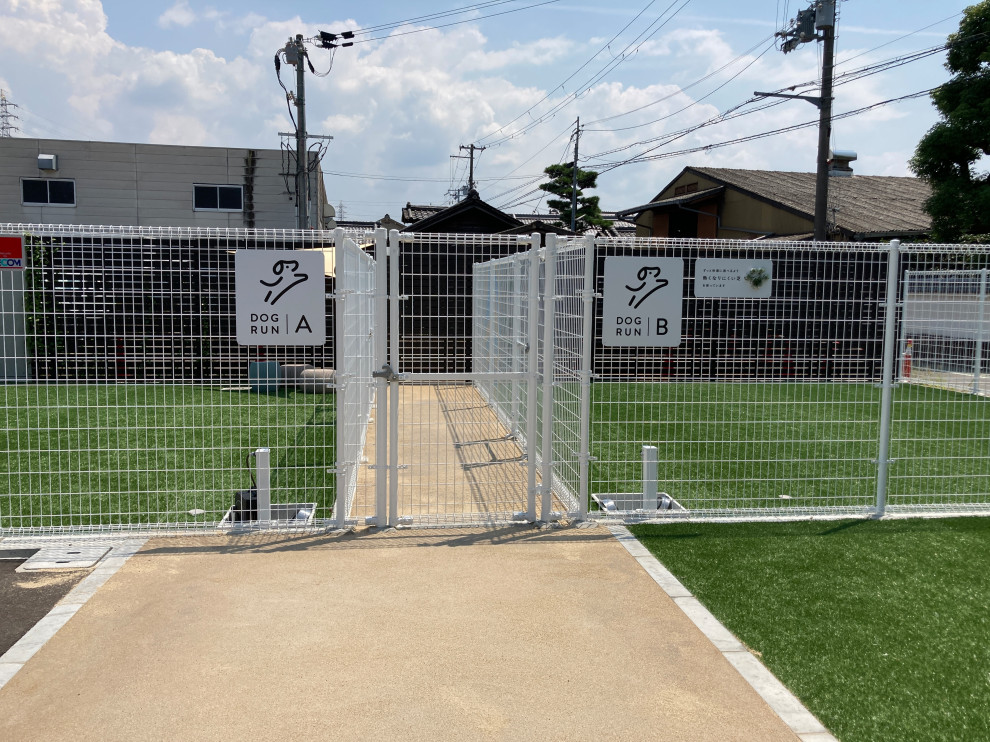 Dog Run