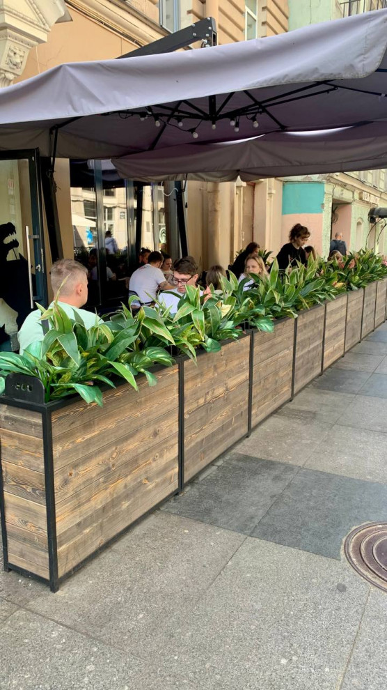 Ресторан FRANK на Рубинштейна г. Санкт-Петербург