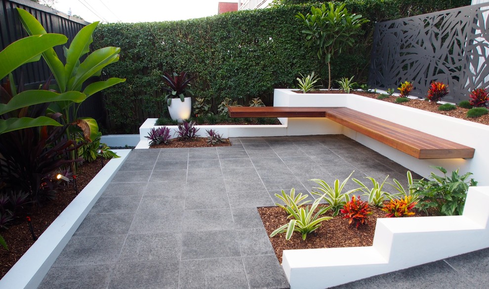 Inspiration for a small modern courtyard garden in Brisbane.