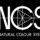 NCS Colour