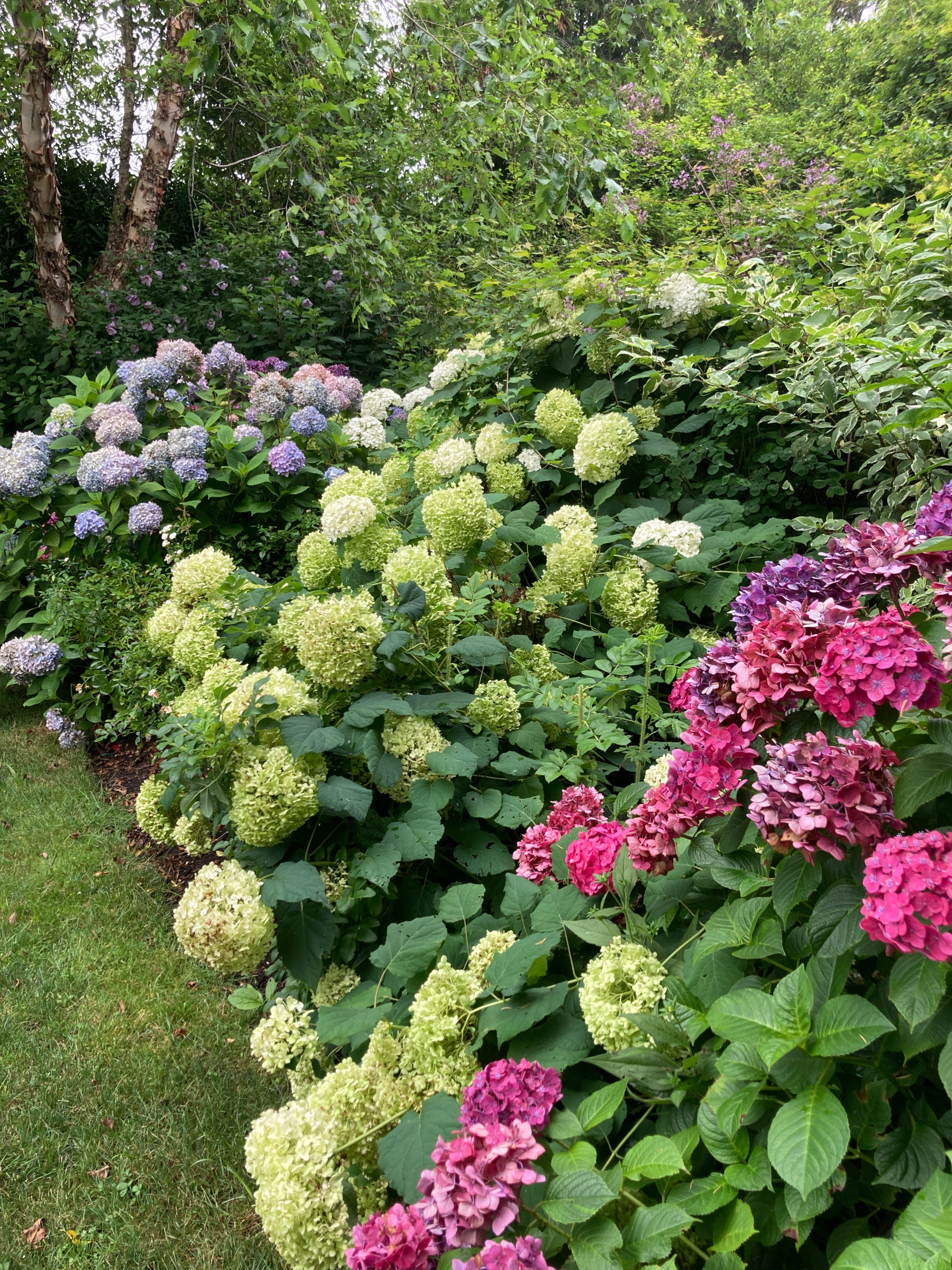 Sagaponack Garden Borders