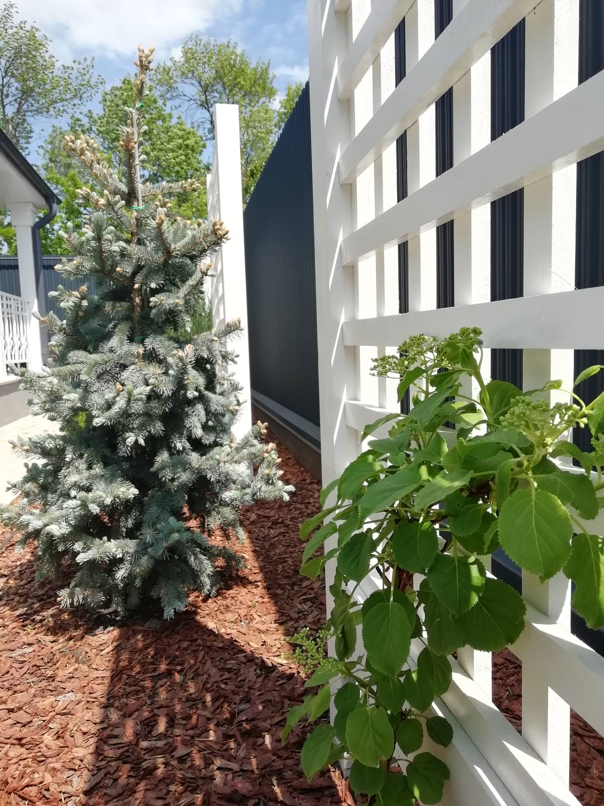 Частный сад "на Дружной"