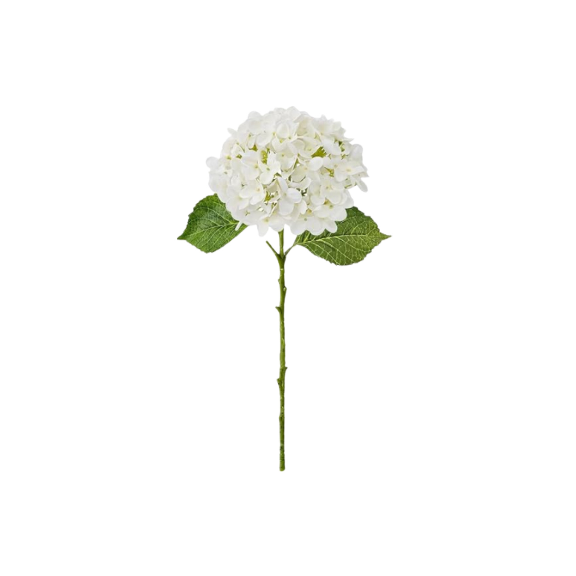 Retailer: Amazon | JINWOE Hydrangea Artificial Flowers, 4Pcs 20" Ivory White Lifelike Latex Silk