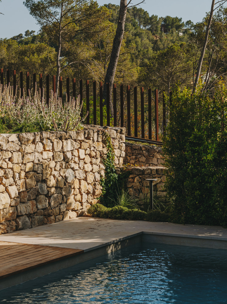 Immagine di un grande giardino xeriscape mediterraneo esposto in pieno sole in estate con un ingresso o sentiero e graniglia di granito