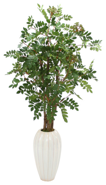 Mountain Ash Floor Plant In Tall White Fluted Ceramic Vase