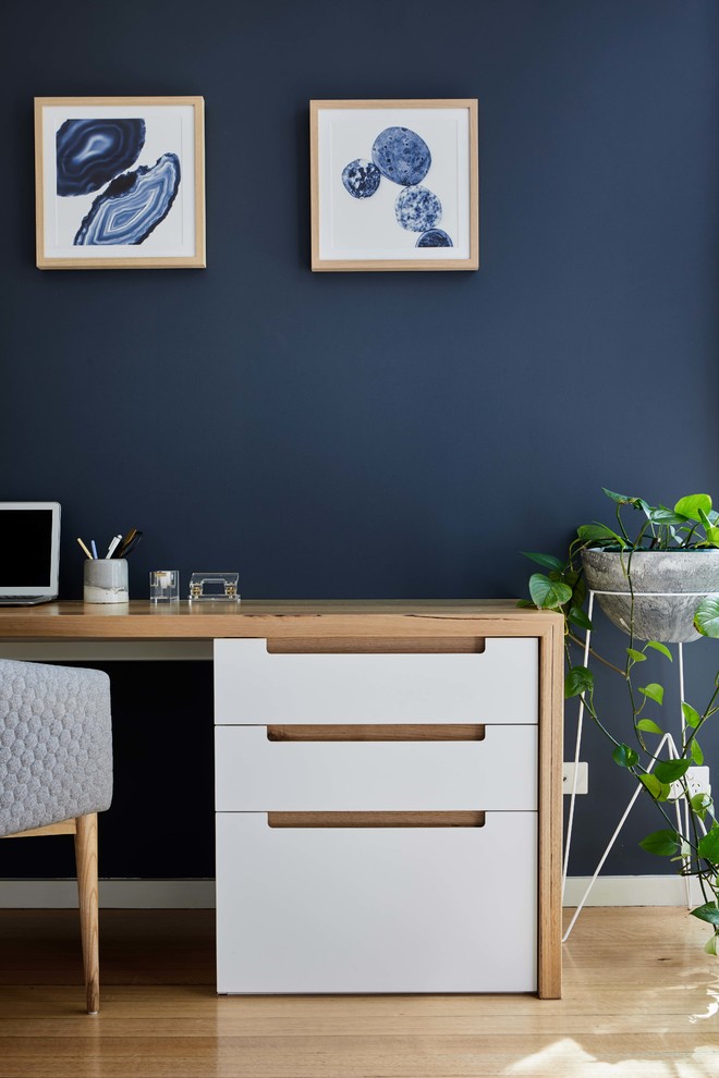 Inspiration for a mid-sized scandinavian study room in Melbourne with blue walls, light hardwood floors and a built-in desk.