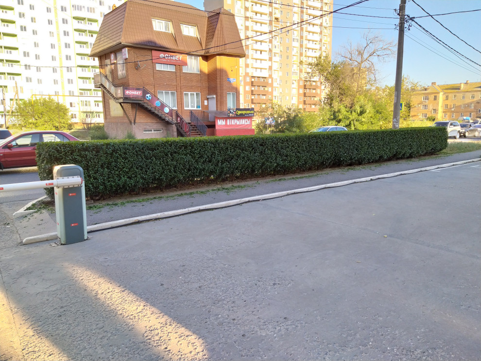 топиарная стрижка в Астрахани и Астраханской области