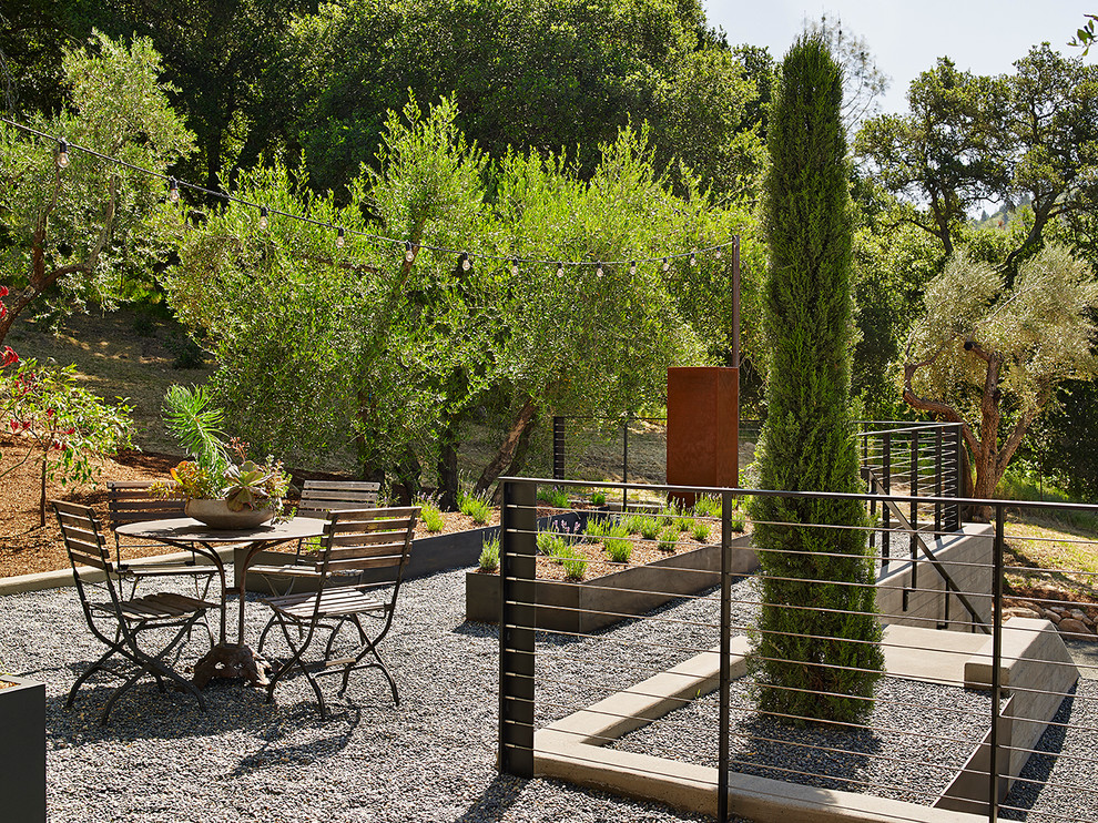 Inspiration for a contemporary patio in San Francisco with a container garden, gravel and no cover.