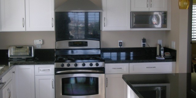 Black and White Kitchen contemporary-kitchen