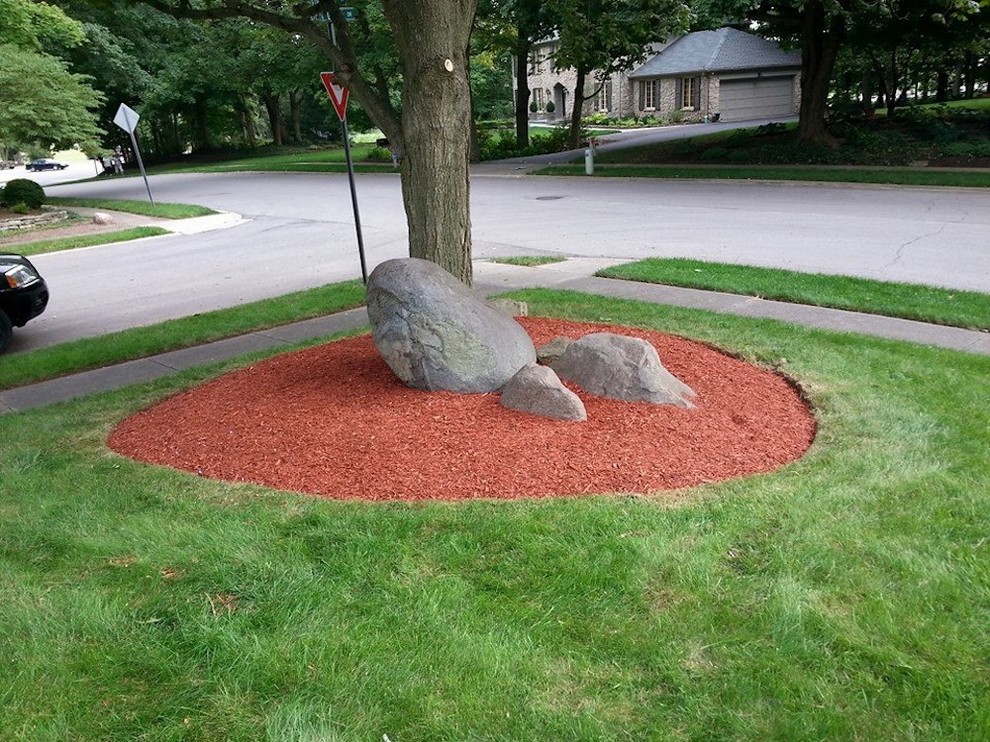 Photo of a traditional front yard garden in Indianapolis with mulch.